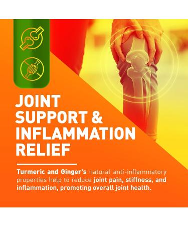 Turmeric Curcumin with BioPerine, Ginger & Antioxidant Support - 1965mg, 95% Standardized Curcuminoids - Advanced Absorption - 120 Capsules - Buy Online on GoSupps.com
