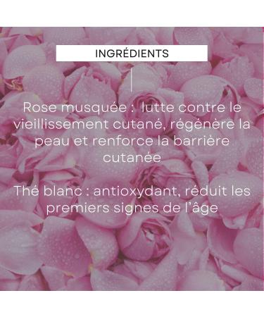 WELEDA - Smoothing Day Cream Rosehip & White Tea - NATRUE - 40ml - Buy Online on GoSupps.com