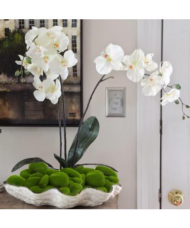 CCINEE 34pcs Artificial Moss Rocks - Perfect for Floral Arrangements, Fairy Gardens, and Crafting - Buy Online on GoSupps.com