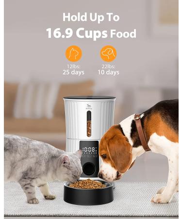 Petory Timed Automatic Cat Feeders - 4L Programable Dry Food Dispenser for Cats and Small Medium Dogs 6 Meals with Desiccant Bag Dual Power Supply 10S Voice Recorder White Regular Version - Buy Online on GoSupps.com