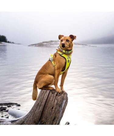 Hurtta Weekend Warrior Dog Harness - Neon Lemon 99-119 cm (39-47 in) | International Shipping Available - Buy Online on GoSupps.com