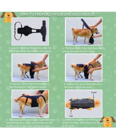 Dog Back Brace IVDD Pet Hip Brace Support with Leash Comfortable Dog Spine Support Vest for Small and Medium Sized Pets with Arthritis Herniated Disc Or Spinal Surgery Recovery (XS) - Buy Online on GoSupps.com
