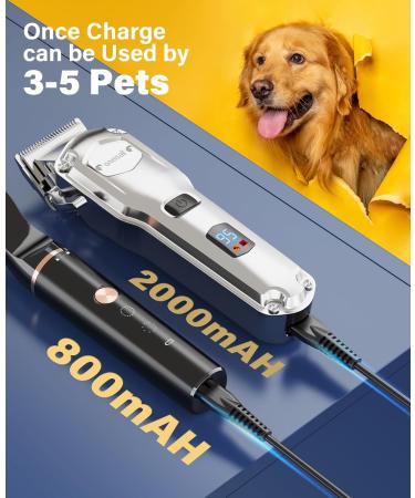 Professional 2-in-1 Dog Clippers & Paw Trimmer Kit | Low Noise Cordless Grooming Set for Dogs & Cats | Stainless Steel Blade | Waterproof | Black Silver - Buy Online on GoSupps.com