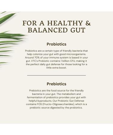 VTC VitaTradingCo. Probiotic Gut Defense | Probiotics and Prebiotics for Gut Health & Digestion | 1 Billion CFU with Whole Food Base | 90 Capsules - Buy Online on GoSupps.com