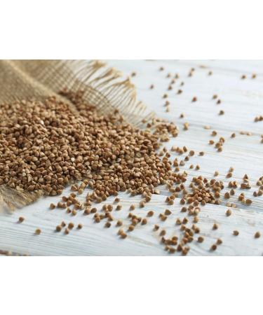 Zhitnica Buckwheat | A good source of fiber | Whole Grain | - | Nutty flavor | Healthy & Delicious meals | 800g (Pack of 4) - Buy Online on GoSupps.com
