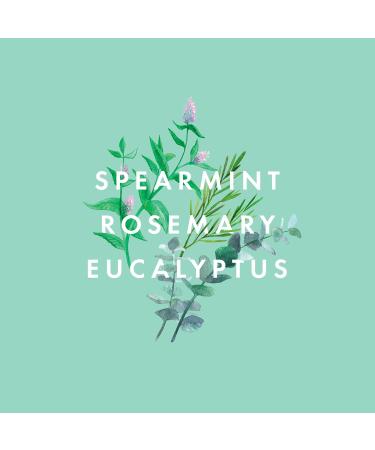 Neom Super Shower Power Natural Shampoo 300ml | Purifying Spearmint Rosemary & Eucalyptus Cleansing | Vegan & All Hair Types Friendly - Buy Online on GoSupps.com