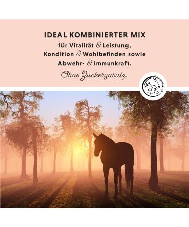 Annimally Multi Vital Powder for Horses - 550g Multivitamin with Vitamin B Complex Immune Support Vitamins A D3 E & Essential Nutrients - Buy Online on GoSupps.com