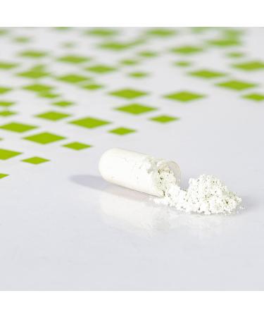 Buy PlusVive Magnesium 365 Capsules - High Dose 700mg Vegan & Lab Tested Sea Water Enzyme Algae Matrix - International Shipping Available - Buy Online on GoSupps.com