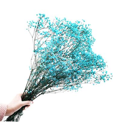2pcs Plant Decor Gifts Dried Flowers The Gift Dried Flower Decor Creative Preserved Flower Preserved Flower Decor Romantic Preserved Flower Artificial Gypsophila Bluex2pcs 60X20cmx2pcs - Buy Online on GoSupps.com