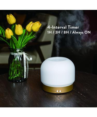 Essential Oil Diffuser for Large Rooms - 280ml Aromatherapy with Glass Cover 4 Timers Auto Shut-Off & Adjustable Lights - Buy Online on GoSupps.com