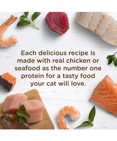 Rachael Ray Nutrish Wet Cat Food Variety Pack - Grain Free Chicken Lover's, 2.8 oz Cups (Pack of 12) - Buy Online on GoSupps.com