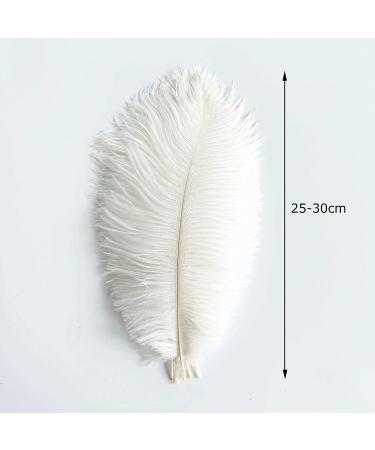 Piokio 20 pcs White Ostrich Feathers Plumes 10-12 inch | DIY Christmas & Wedding Party Decorations - Buy Online on GoSupps.com