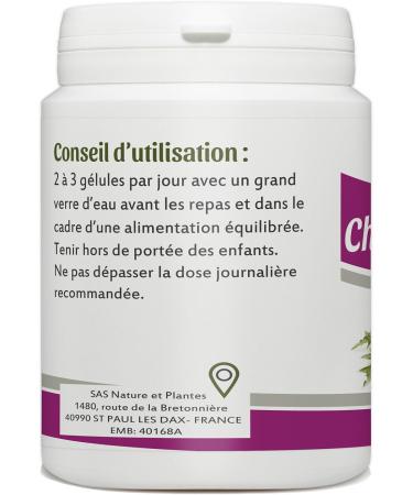 Milk Thistle - 480 mg - 200 capsules - Buy Online on GoSupps.com