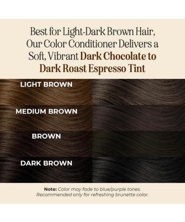 Buy INH Semi Permanent Dark Brown Hair Color - Ammonia Free Vegan No Bleach | 6oz Color Depositing Conditioner - Buy Online on GoSupps.com