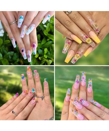UNIME 24 Colors Nail Art Dried Flowers - Mini Real Natural 3D Applique Sticker for Manicure Decoration - Gypsophila Flowers Leaves - 2 Boxes - Buy Online on GoSupps.com