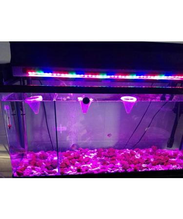 SENZEAL Aquarium Live Red Worm Fish Feeder - Plastic Cone Cup Shape Basket Feeder - Buy Online on GoSupps.com