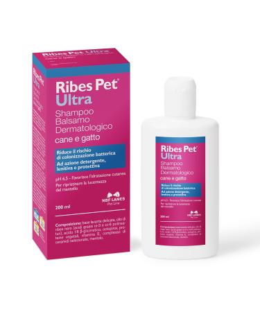 Nbf Lanes Blackcurrant Pet Ultra Shampoo - 200 ml