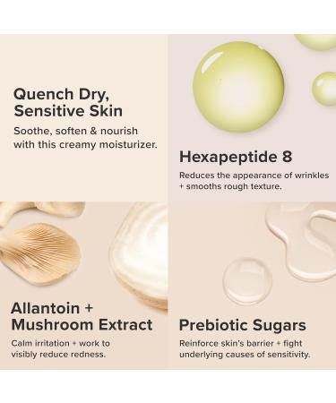 Buy Paula's Choice CALM Intensive Moisturizer - Soothes Dry & Sensitive Skin Rosacea & Eczema Friendly Fragrance-Free - 2 Fl Oz International Shipping - Buy Online on GoSupps.com