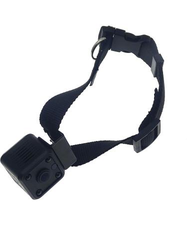 Wireless Rechargeable WiFi Pet Collar Camera Recorder Tracker - 720P HD with Night Vision - Bigger Size - Behavior Observation - Buy Online on GoSupps.com