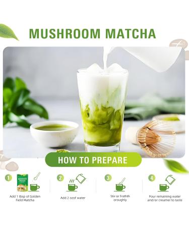 Mushroom Matcha Powder | Blend with 6 Mushrooms MCT Oil & Coconut Milk | 6.35 Oz (180g)(30 Servings) - Buy Online on GoSupps.com