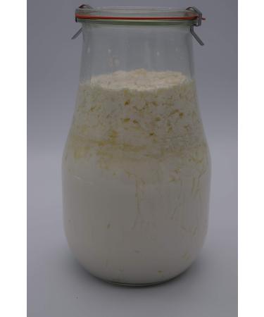 Buy Japanese Crystals & Kefir Grains - Water & Milk Kefir Combo Package | International Shipping - Buy Online on GoSupps.com