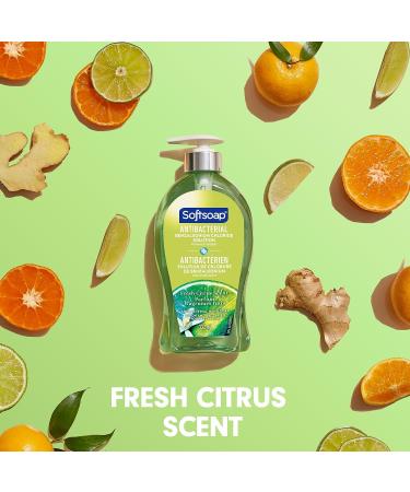Buy Softsoap Antibacterial Hand Soap - Fresh Citrus 11.25 oz Pump Bottle | International Shipping Available - Buy Online on GoSupps.com