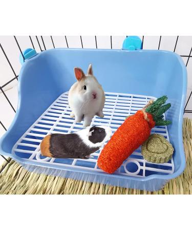 Small Animal Litter Toilet Box with Grate - Potty Training for Rabbits, Guinea Pigs, Chinchillas, Ferrets & More - Blue - Buy Online on GoSupps.com