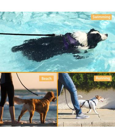 Vivifying 6m Waterproof Tow Line for Dogs with Padded Handle - Perfect for Recall Training Hiking Swimming Beach & Lake (Black) - Buy Online on GoSupps.com