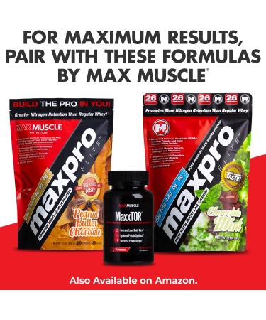 Max Muscle Arm Plus+ Anabolic Recovery Matrix - 25g Protein 8g BCAAs 3g Creatine | Whey Protein & Amino Acids - Intense Strawberry 2.54 lb - Buy Online on GoSupps.com