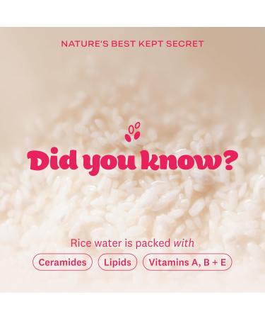 The Face Shop Rice Water Bright Double Cleansing Duo Set with Ceramide Korean Skin Care Gentle Face Wash & Pore Control Cleansing Oil Hydrating Moisturizing Vegan Facial Cleanser Makeup Remover - Buy Online on GoSupps.com