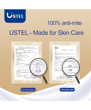 Soft Dry Wipes Facial Tissues - 100% Biobased Disposable Towels for Sensitive Skin Baby Care & Make-up Removal (60 Ct 2 Pack) - Ideal for Wet & Dry Use - Buy Online on GoSupps.com