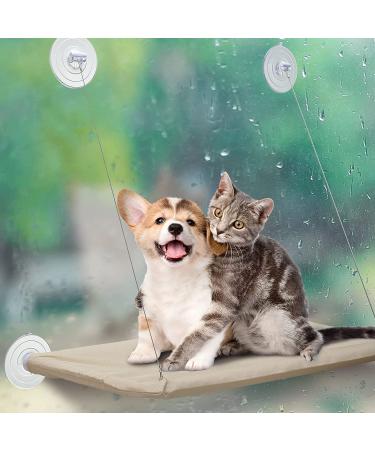 8 Pcs Cat Window Hammock Replacement Suction Cups - Pet Supplies | Vivid Style - Buy Online on GoSupps.com