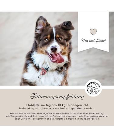 Journey Tablets for Dogs - MSM Green Lipped Mussel Devil's Claw & Glucosamine - 120 Joint Support Tablets - Easy to Administer for High Acceptance - Buy Online on GoSupps.com