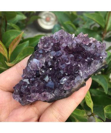 60-70g Natural Dream Amethyst Quartz Crystal Cluster Specimen Healing Reiki Stone Crystal Cluster - Buy Online on GoSupps.com
