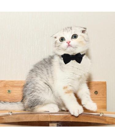 2 Pcs Velvet Bowtie Cat Collar with Bell Adjustable Breakaway Cat Collars Kitten Small Puppy Safety Bow Tie Solid Wedding Red Cat Collar for Boy Girl Cats - Buy Online on GoSupps.com