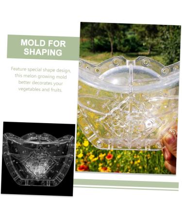 Parliky Pumpkin Mold Clear Fruit Square Mold Transparent Shaping Mold Watermelon Accessories Multipurpose - Buy Online on GoSupps.com
