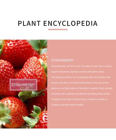 Strawberry Massage Etheric Oil | Pure Natural Aromatherapy Fragrance for Diffusers Humidifiers Yoga & Body Care - 10ml - Buy Online on GoSupps.com