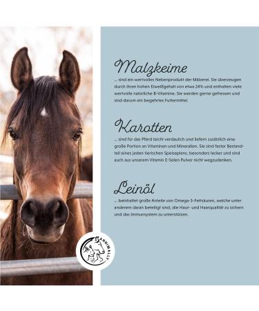 Annimally Horse Vitamin E Lysine & Selenium Powder - 2kg Refill for Muscle Support & Performance - Buy Online on GoSupps.com