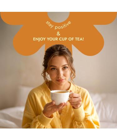  Alpi Nature Alpi Nature Organic St. John's Wort Tea 120 Tea Bags 120g Pack of 6 x 20 x 1g Bags - Buy Online on GoSupps.com