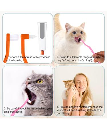 Buy Double-Sided Cat Toothbrush Set - Deep Cleaning Kit for Kittens & Cats - Pink & Orange - Buy Online on GoSupps.com