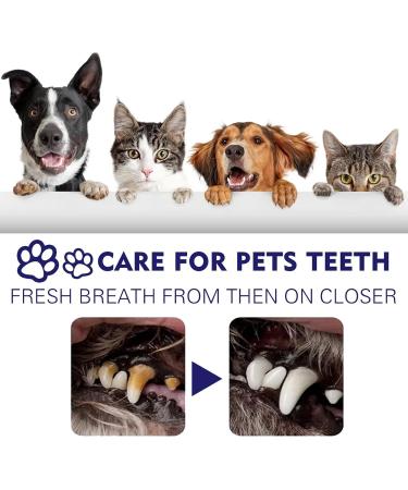 Cat Toothpaste Freshens Breath Cleaning Dog Pet Toothpaste - Safe and Effective Cat Oral Care Toothpaste for Dogs and Pets Frifer - Buy Online on GoSupps.com