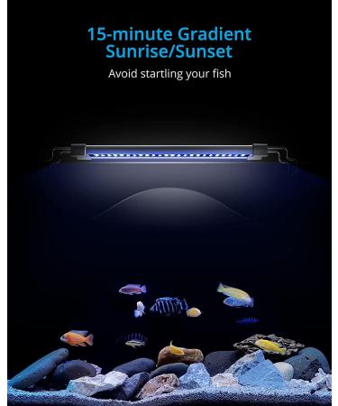 NICREW ClassicLED Gen 2 Aquarium Light, Dimmable 2-Channel Control, High Output 15W, 18-24 Inch Size, White and Blue LEDs - Buy Online on GoSupps.com