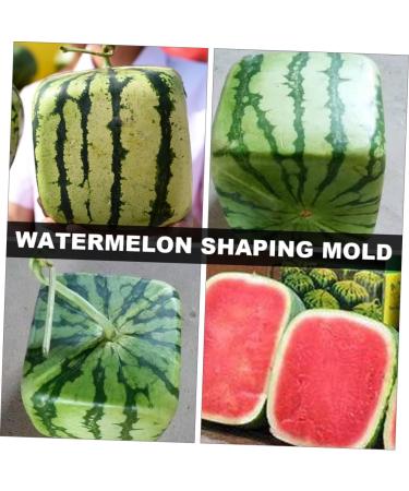Uonlytech 2pcs Tools Vegetable Cucumber Molds for Yard Fruit Pumpkin Square Watermelon Stereotypes 15x15cmx2pcs Transparentx2pcs - Buy Online on GoSupps.com