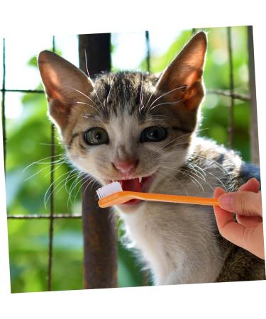 Angoily 10pcs Pet Small Teeth Dual-head Brush Clean for Cleaning Handheld Tooth Oral Pets Dog Puppy - Buy Online on GoSupps.com