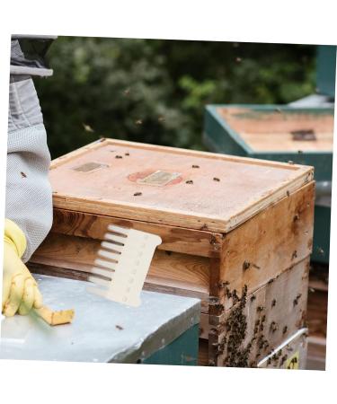 POPETPOP 3 Pcs Pulp Taking Pen Bee Hive Honey Scrape Pen Royal Jelly Extractor Outdoor Tools 9.6X8.2X0.2cmx3pcs Whitex3pcs - Buy Online on GoSupps.com