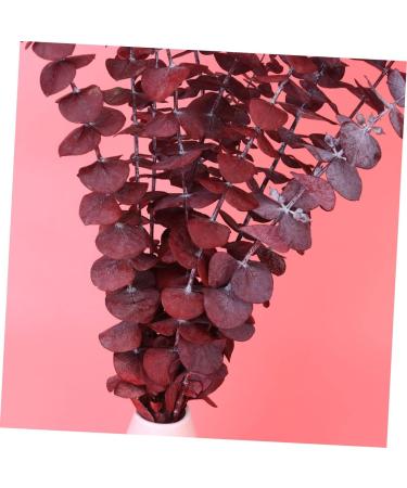 Cabilock Dried Eucalyptus Stems 10pcs Christmas Flower Arrangement Real Eucalyptus Leaves As Shown Size 3 - Buy Online on GoSupps.com