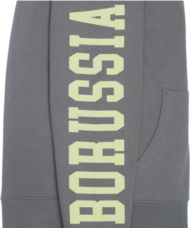Buy Borussia Dortmund Men's BVB Explorer Sweat Jacket Cardigan L Grey Official Merchandise Fast International Shipping Best Price - Buy Online on GoSupps.com