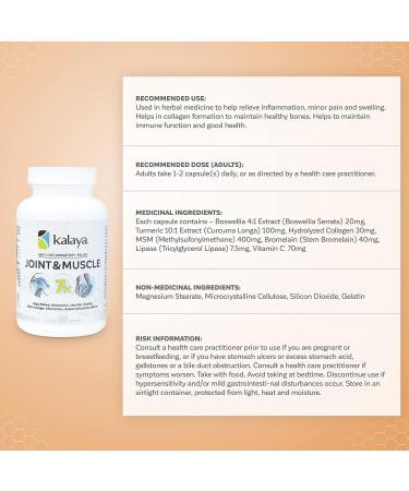 Kalaya 7X Joint Support Supplement - 60 Capsules with Boswellia, Turmeric, MSM, Bromelain, Lipase, and Vitamin C - Buy Online on GoSupps.com