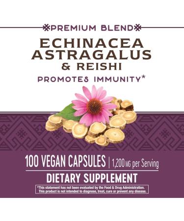 Nature's Way Echinacea, Astragalus & Reishi 1200mg - Vegan Capsules (100 Count) - Buy Online on GoSupps.com