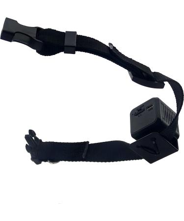 Pet Collar Camera DVR with 16GB TF Card - Black | Monitor & Record Your Dog's Adventures - Buy Online on GoSupps.com